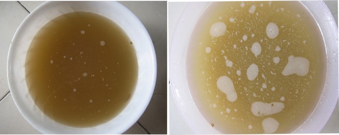 Nước lọc cua của loại xay ngoài hàng (ảnh trái) và loại xay ở nhà khác nhau hoàn toàn